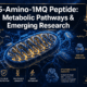 5-Amino-1MQ Peptide: Exploring its Metabolic Pathway and Emerging Research Applications