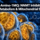 5-Amino-1MQ Peptide Research: NNMT Inhibition, Fat Metabolism, and Why It Is Often Paired With Mitochondrial Stacks