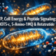 Adenosine Triphosphate (ATP), Cell Energy, and Peptide Signaling: Where MOTS-c, 5-Amino-1MQ, and GLP-3 Retatrutide Fit
