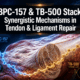 BPC-157 and TB-500 Stack: Synergistic Mechanisms in Experimental Tendon and Ligament Repair