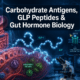 Carbohydrate Antigens, GLP Peptides, and Gut Hormone Biology: How GLP‑2‑T and GLP‑3 Retatrutide Are Used in Laboratory Metabolic Models