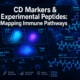 Cluster of Differentiation Markers and Experimental Peptides: Mapping Immune Pathways for Selank, Epithalon, and BPC‑157