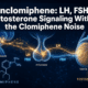 Enclomiphene Research for Male Hormone Optimization: LH, FSH, and Testosterone Signaling Without the Clomiphene Noise