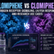 Enclomiphene vs Clomiphene: Estrogen Receptor Signaling, LH/FSH Response, and Research Use Cases