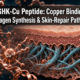 GHK-Cu Peptide: Copper Binding, Collagen Synthesis, and Skin-Repair Pathways in Laboratory Models
