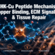 GHK-Cu Peptide Mechanism: Copper Binding, Extracellular Matrix Signaling, and Tissue-Repair Research