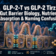 GLP-2-T vs GLP-2 Tirz: Gut Barrier Biology, Nutrient Absorption, and Naming Confusion in Research