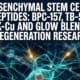 Mesenchymal Stem Cells and Peptides: How BPC‑157, TB‑500, GHK‑Cu, and Glow Blend Are Used in Regeneration Research