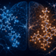 Selank vs Semax: Neuroimmune, Anxiolytic, and Cognitive Pathways Compared for Research Use