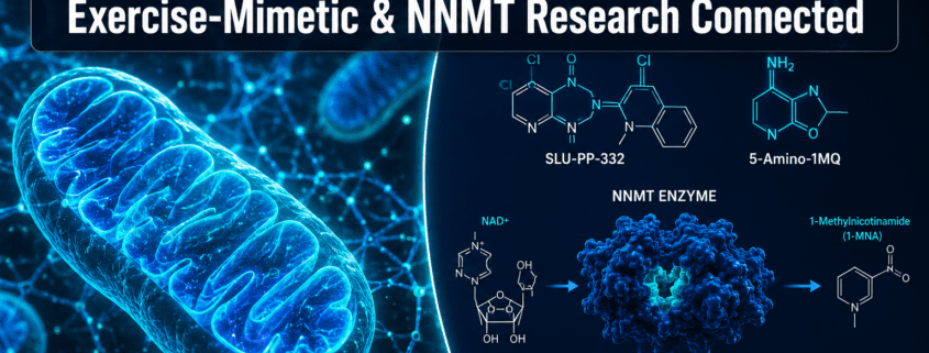 Slupp332 With 5-Amino-1MQ: How Exercise-Mimetic and NNMT-Targeted Research Are Being Connected