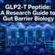 What Is GLP2-T Peptide? A Research-Only Guide to Gut Barrier Biology and Intestinal Recovery Models